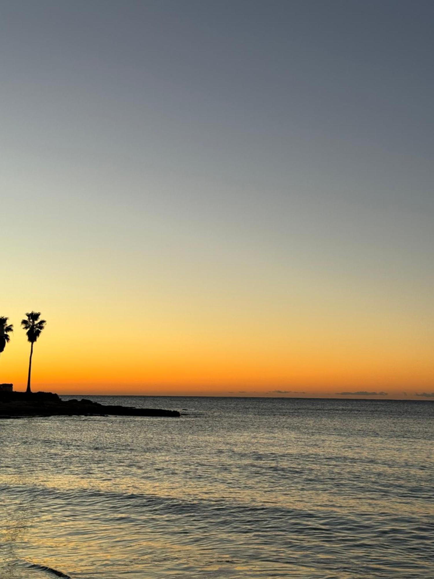 Beach Apartament In Torrevieja Eksteriør billede